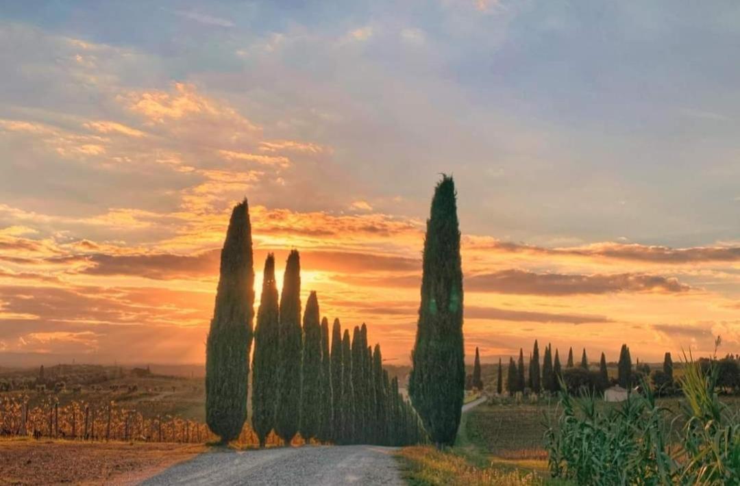 Casa Guardiavigna In Chianti Appartement San Gusme Buitenkant foto